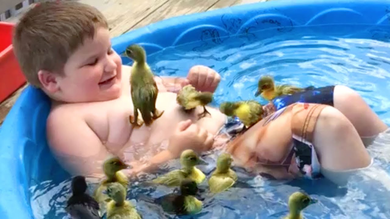 Cute and Funny Ducks! Duck Videos to Make You Smile 