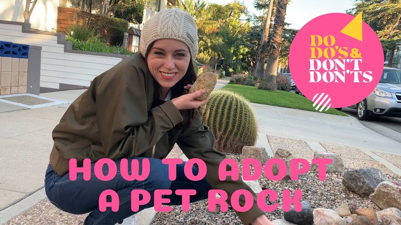 How to Adopt a Pet Rock | Do-do's & Don't-don'ts