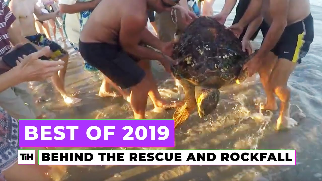 Behind the Best of 2019: Rockfall and Turtle Rescue | This is Happening